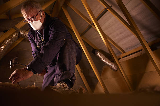 Best Commercial Insulation in Swansea, IL
